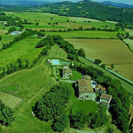 Agriturismo Il Sasso Guest House Anghiari Exterior photo