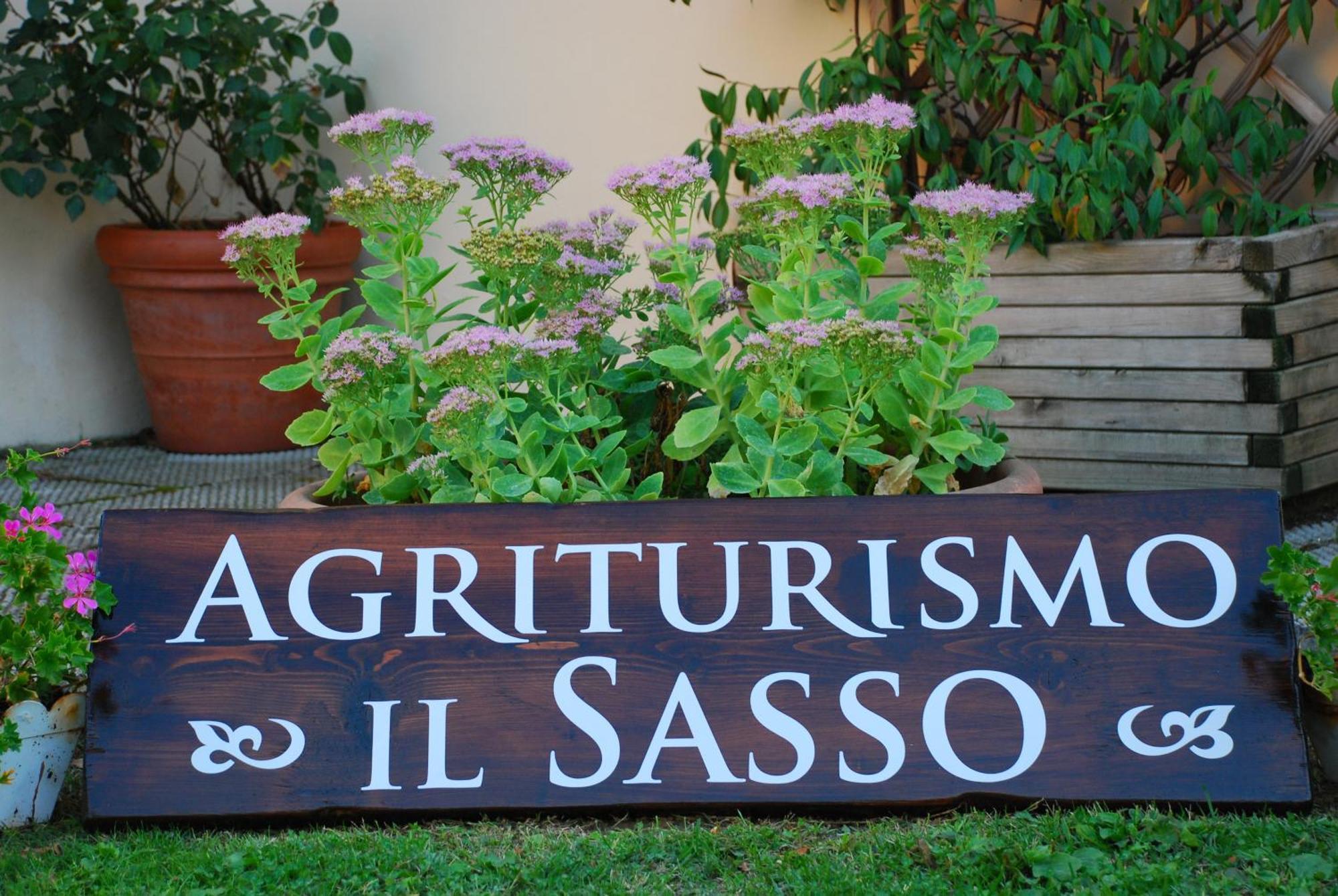 Agriturismo Il Sasso Guest House Anghiari Exterior photo